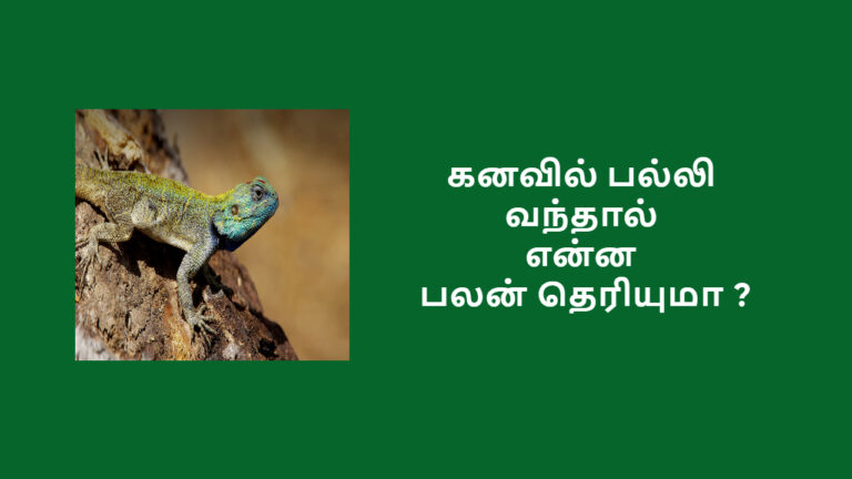 Web_Photo_Editor (2)