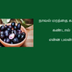 Web_Photo_Editor (5)