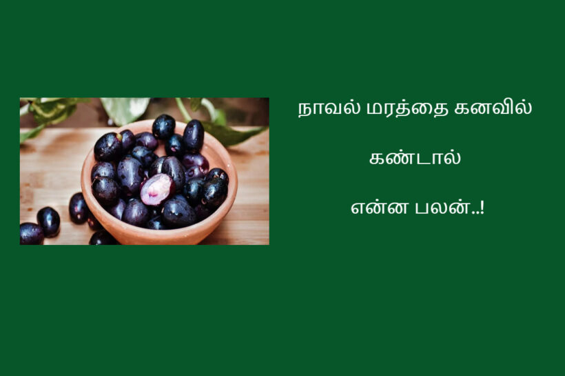 நாவல் மரத்தை கனவில் கண்டால் என்ன பலன் | Naval Palam Kanavu Palangal In Tamil