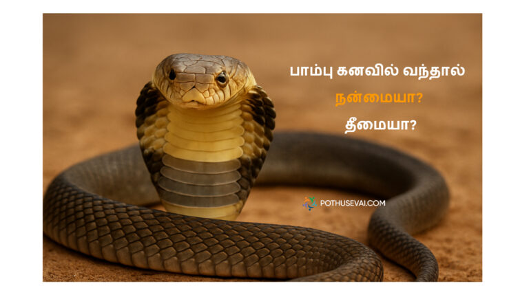 pambu kanavil vanthal