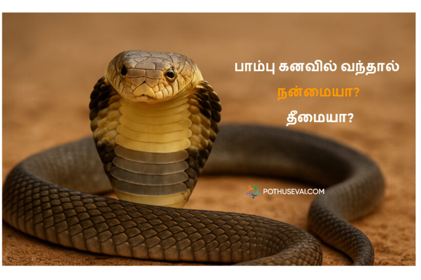பாம்பு கனவு பலன் – pambu kanavil vanthal pambu kanavil vanthal