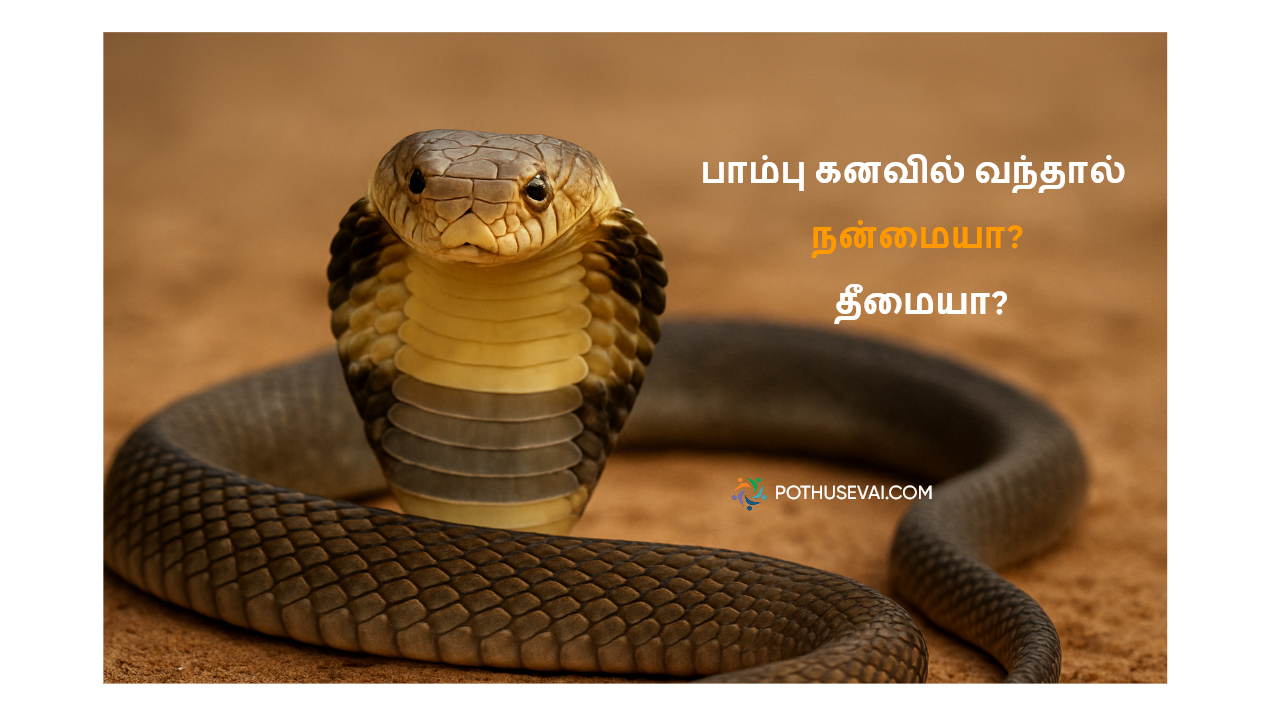 pambu kanavil vanthal