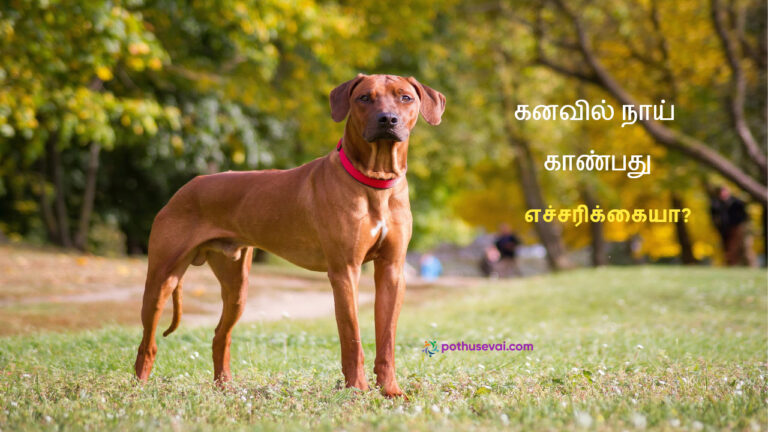 Web_Photo_Editor(21)